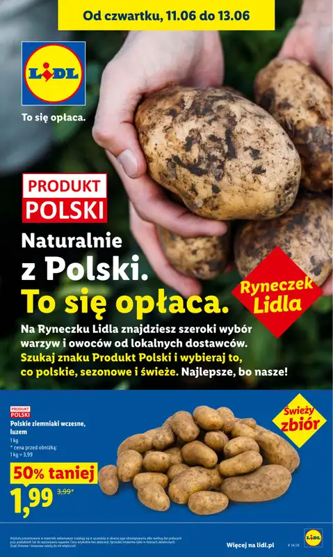 Lidl - gazetka promocyjna Oferta od czwartku od czwartku 11.06 do soboty 13.06 - strona 45
