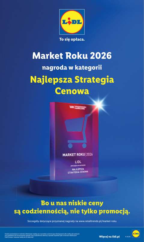 Lidl - gazetka promocyjna Oferta od czwartku od czwartku 11.06 do soboty 13.06 - strona 31