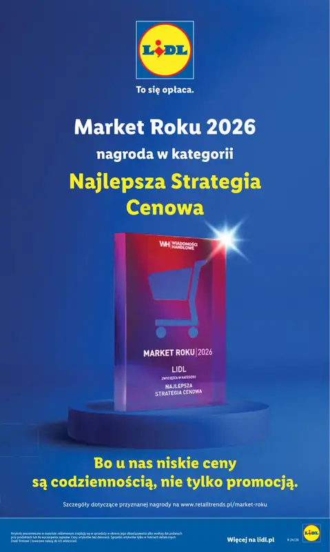 Lidl - gazetka promocyjna Oferta od czwartku od czwartku 11.06 do soboty 13.06 - strona 31