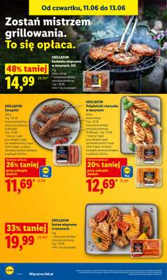 Lidl - gazetka promocyjna Oferta od czwartku od czwartku 11.06 do soboty 13.06 - strona 48