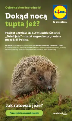 Lidl - gazetka promocyjna Oferta od czwartku od czwartku 11.06 do soboty 13.06 - strona 96