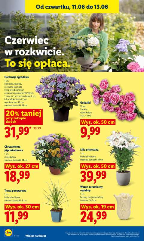 Lidl - gazetka promocyjna Oferta od czwartku od czwartku 11.06 do soboty 13.06 - strona 92