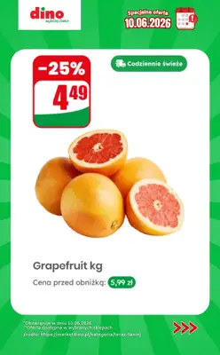 Dino - gazetka promocyjna Specjalna oferta na 10.06.2026 - promocje spoza gazetki od środy 10.06 do środy 10.06 - strona 2
