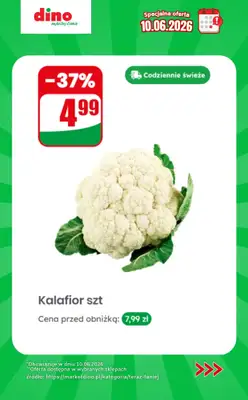 Dino - gazetka promocyjna Specjalna oferta na 10.06.2026 - promocje spoza gazetki od środy 10.06 do środy 10.06 - strona 3