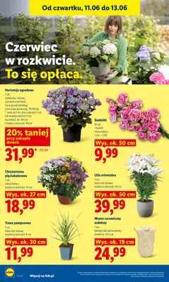 Lidl - gazetka promocyjna Oferta od czwartku od czwartku 11.06 do soboty 13.06 - strona 92
