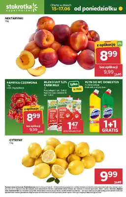 Stokrotka - gazetka promocyjna Hity na start od poniedziałku 15.06 do środy 17.06