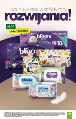 Stokrotka - gazetka promocyjna Gazetka Market od czwartku 11.06 do środy 17.06 - strona 33