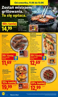 Lidl - gazetka promocyjna Oferta od czwartku od czwartku 11.06 do soboty 13.06 - strona 48