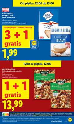 Lidl - gazetka promocyjna Oferta od czwartku od czwartku 11.06 do soboty 13.06 - strona 9