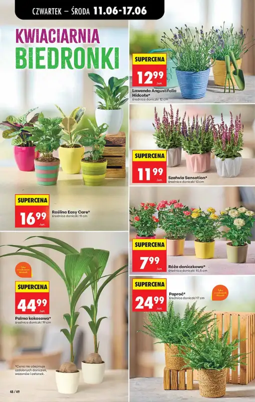 Biedronka - gazetka promocyjna Od czwartku od czwartku 11.06 do środy 17.06 - strona 48