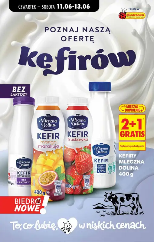 Biedronka - gazetka promocyjna Od czwartku od czwartku 11.06 do środy 17.06 - strona 64