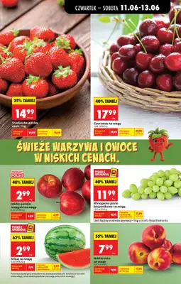 Biedronka - gazetka promocyjna Od czwartku od czwartku 11.06 do środy 17.06 - strona 25