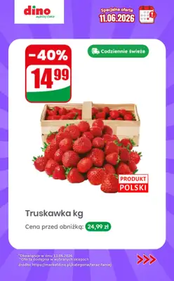 Dino - gazetka promocyjna Specjalna oferta na 11.06.2026 - promocje spoza gazetki od czwartku 11.06 do czwartku 11.06 - strona 5