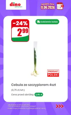 Dino - gazetka promocyjna Specjalna oferta na 11.06.2026 - promocje spoza gazetki od czwartku 11.06 do czwartku 11.06 - strona 10