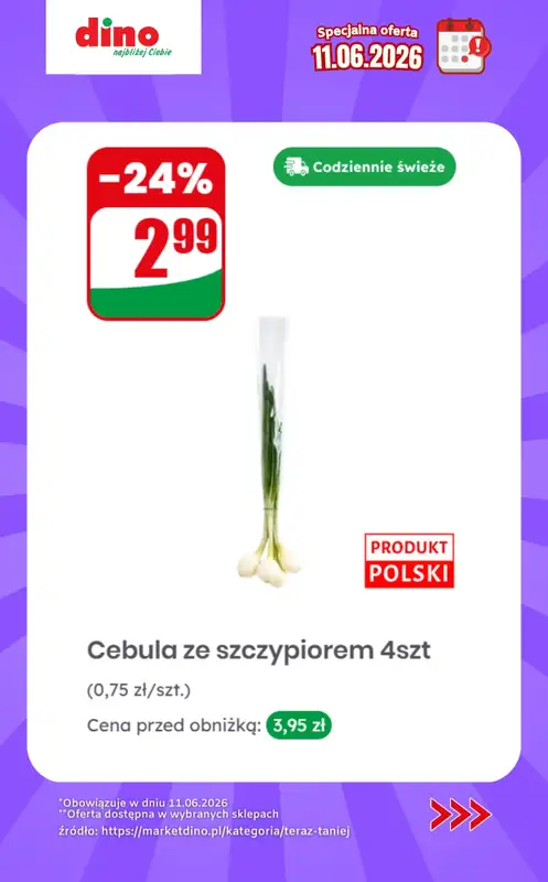 Dino - gazetka promocyjna Specjalna oferta na 11.06.2026 - promocje spoza gazetki od czwartku 11.06 do czwartku 11.06 - strona 10