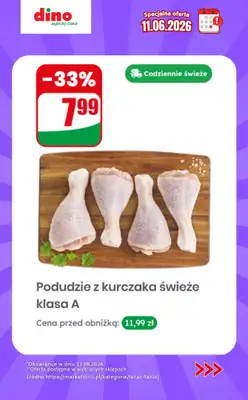 Dino - gazetka promocyjna Specjalna oferta na 11.06.2026 - promocje spoza gazetki od czwartku 11.06 do czwartku 11.06 - strona 8