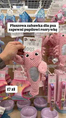Pepco - gazetka promocyjna Zakupowe Inspiracje w Pepco od poniedziałku 15.06  - strona 2