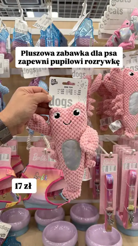 Pepco - gazetka promocyjna Zakupowe Inspiracje w Pepco od poniedziałku 15.06  - strona 2