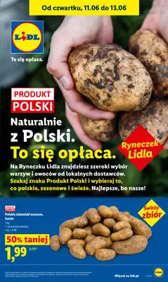 Lidl - gazetka promocyjna Oferta od czwartku od czwartku 11.06 do soboty 13.06 - strona 45