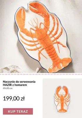Homla - gazetka promocyjna Piknik i grill od czwartku 11.06  - strona 7
