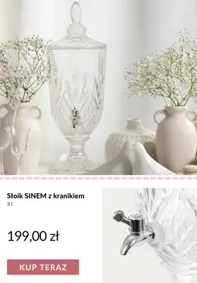Homla - gazetka promocyjna Piknik i grill od czwartku 11.06  - strona 11