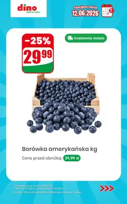 Dino - gazetka promocyjna Specjalna oferta na 12.06.2026 - promocje spoza gazetki od piątku 12.06 do piątku 12.06 - strona 4