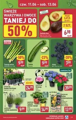 Aldi - gazetka promocyjna Pełny katalog! od poniedziałku 08.06 do soboty 13.06 - strona 33