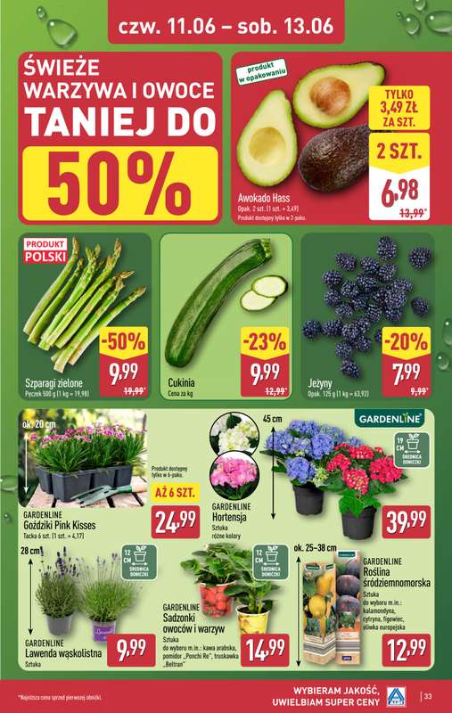 Aldi - gazetka promocyjna Pełny katalog! od poniedziałku 08.06 do soboty 13.06 - strona 33