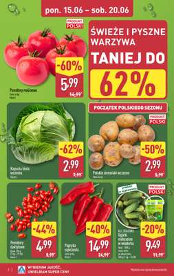 Aldi - gazetka promocyjna Pełny katalog! od poniedziałku 15.06 do soboty 20.06 - strona 2