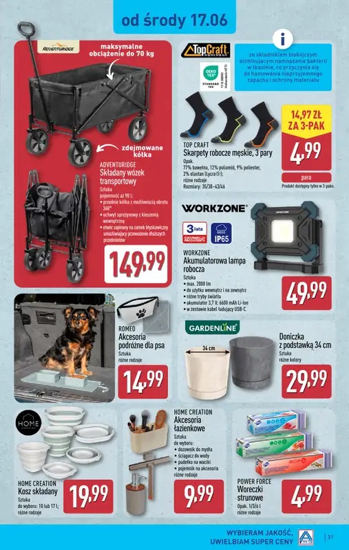Aldi - gazetka promocyjna Pełny katalog! od poniedziałku 15.06 do soboty 20.06 - strona 31