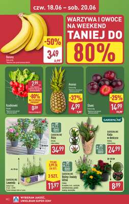 Aldi - gazetka promocyjna Pełny katalog! od poniedziałku 15.06 do soboty 20.06 - strona 32