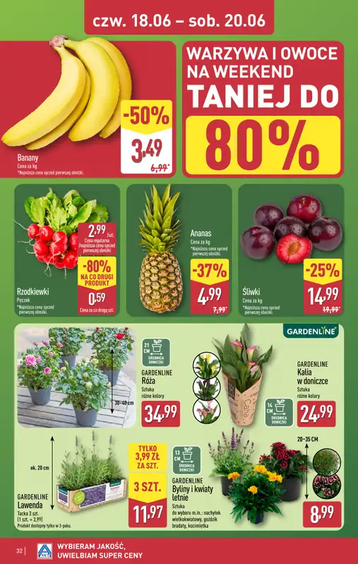 Aldi - gazetka promocyjna Pełny katalog! od poniedziałku 15.06 do soboty 20.06 - strona 32