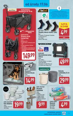 Aldi - gazetka promocyjna Pełny katalog! od poniedziałku 15.06 do soboty 20.06 - strona 31
