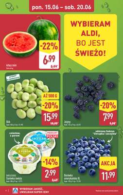 Aldi - gazetka promocyjna Pełny katalog! od poniedziałku 15.06 do soboty 20.06 - strona 4
