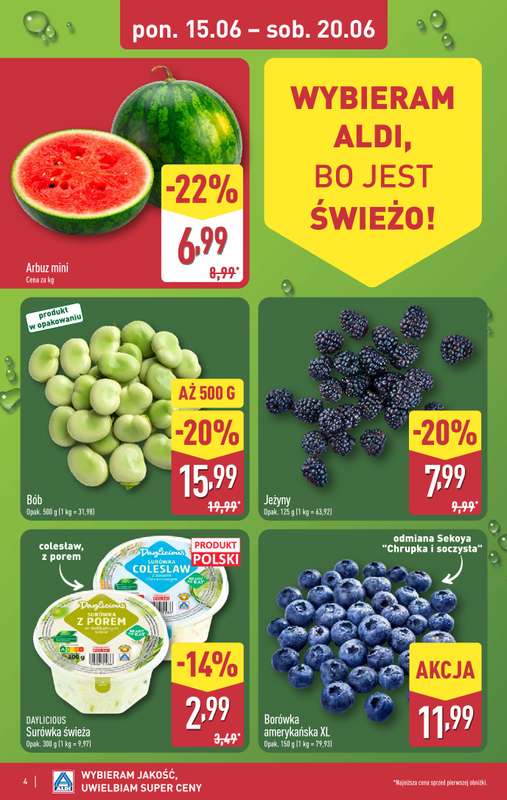 Aldi - gazetka promocyjna Pełny katalog! od poniedziałku 15.06 do soboty 20.06 - strona 4