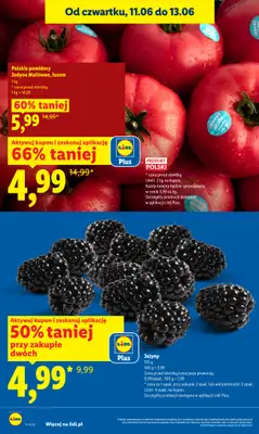 Lidl - gazetka promocyjna Oferta od czwartku od czwartku 11.06 do soboty 13.06 - strona 14