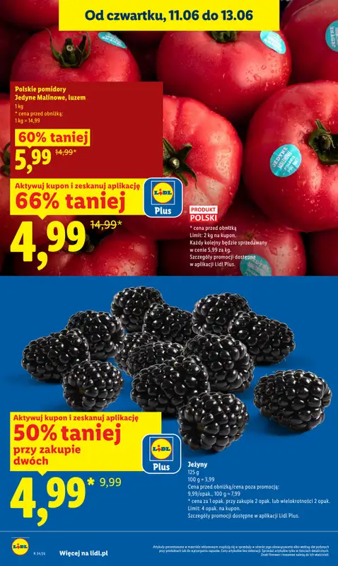 Lidl - gazetka promocyjna Oferta od czwartku od czwartku 11.06 do soboty 13.06 - strona 14