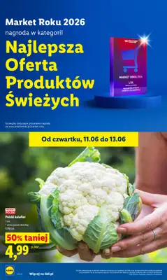 Lidl - gazetka promocyjna Oferta od czwartku od czwartku 11.06 do soboty 13.06 - strona 42