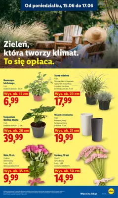 Lidl - gazetka promocyjna Oferta od poniedziałku od poniedziałku 15.06 do środy 17.06 - strona 97