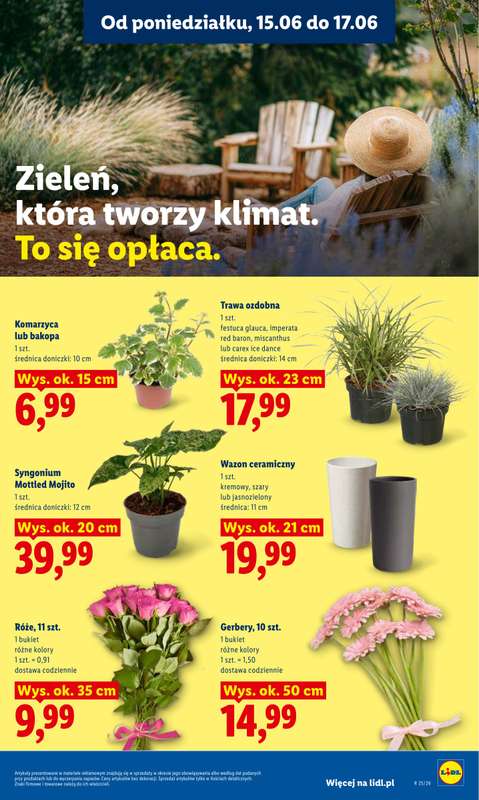 Lidl - gazetka promocyjna Oferta od poniedziałku od poniedziałku 15.06 do środy 17.06 - strona 97