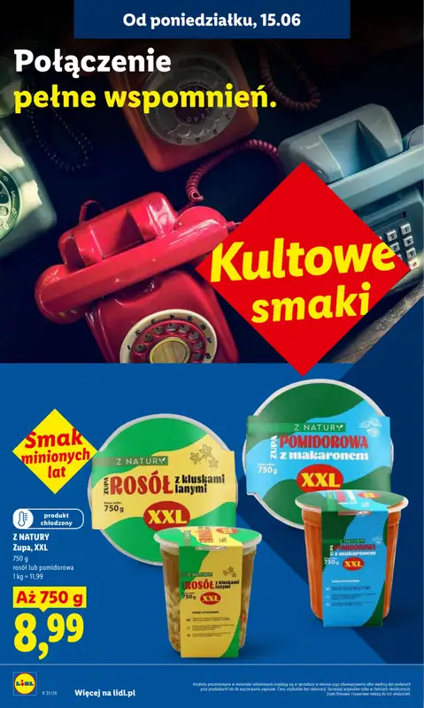 Lidl - gazetka promocyjna Oferta od poniedziałku od poniedziałku 15.06 do środy 17.06 - strona 42