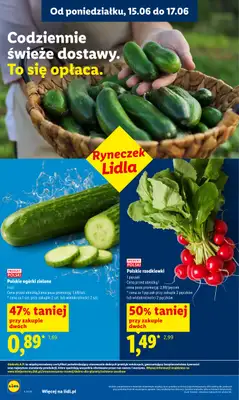 Lidl - gazetka promocyjna Oferta od poniedziałku od poniedziałku 15.06 do środy 17.06 - strona 36