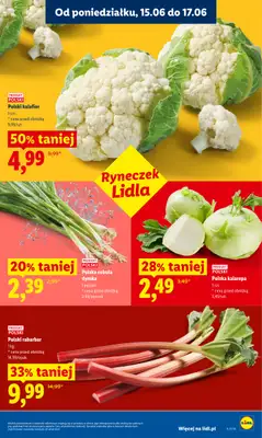 Lidl - gazetka promocyjna Oferta od poniedziałku od poniedziałku 15.06 do środy 17.06 - strona 35
