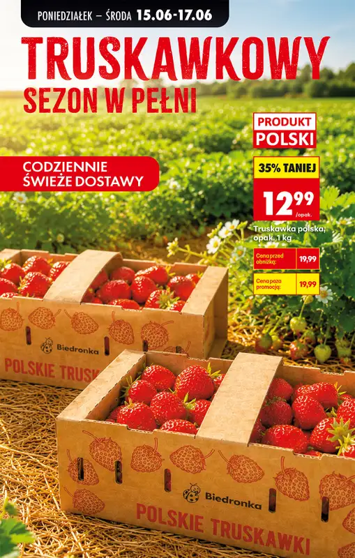 Biedronka - gazetka promocyjna Od poniedziałku od poniedziałku 15.06 do soboty 20.06 - strona 31