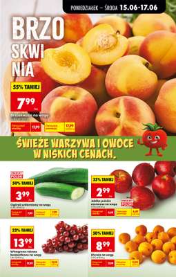 Biedronka - gazetka promocyjna Od poniedziałku od poniedziałku 15.06 do soboty 20.06 - strona 27