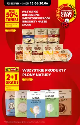 Biedronka - gazetka promocyjna Od poniedziałku od poniedziałku 15.06 do soboty 20.06 - strona 13