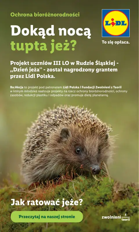 Lidl - gazetka promocyjna Katalog od poniedziałku 22.06 do soboty 27.06 - strona 58