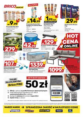 Bricomarche - gazetka promocyjna Gazetka od środy 17.06 do niedzieli 28.06 - strona 9