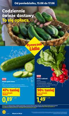 Lidl - gazetka promocyjna Oferta od poniedziałku od poniedziałku 15.06 do środy 17.06 - strona 36