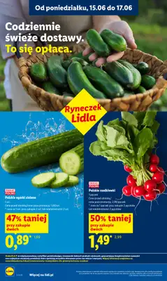 Lidl - gazetka promocyjna Oferta od poniedziałku od poniedziałku 15.06 do środy 17.06 - strona 36